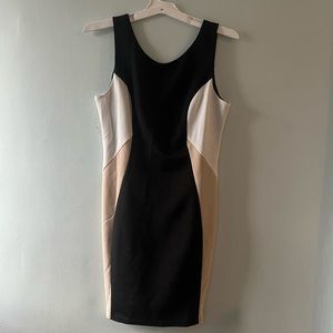 NWT Francesca’s Lenox Color Block Dress size Large